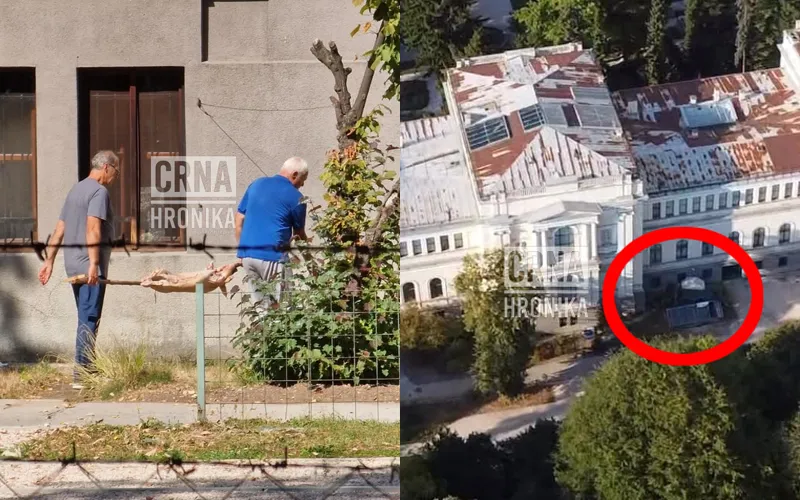 Okrenuli prase na ražnju u Botaničkom vrtu: Iz Zemaljskog muzeja tvrde da porodica nekadašnjeg domara godinama uzurpira prostor