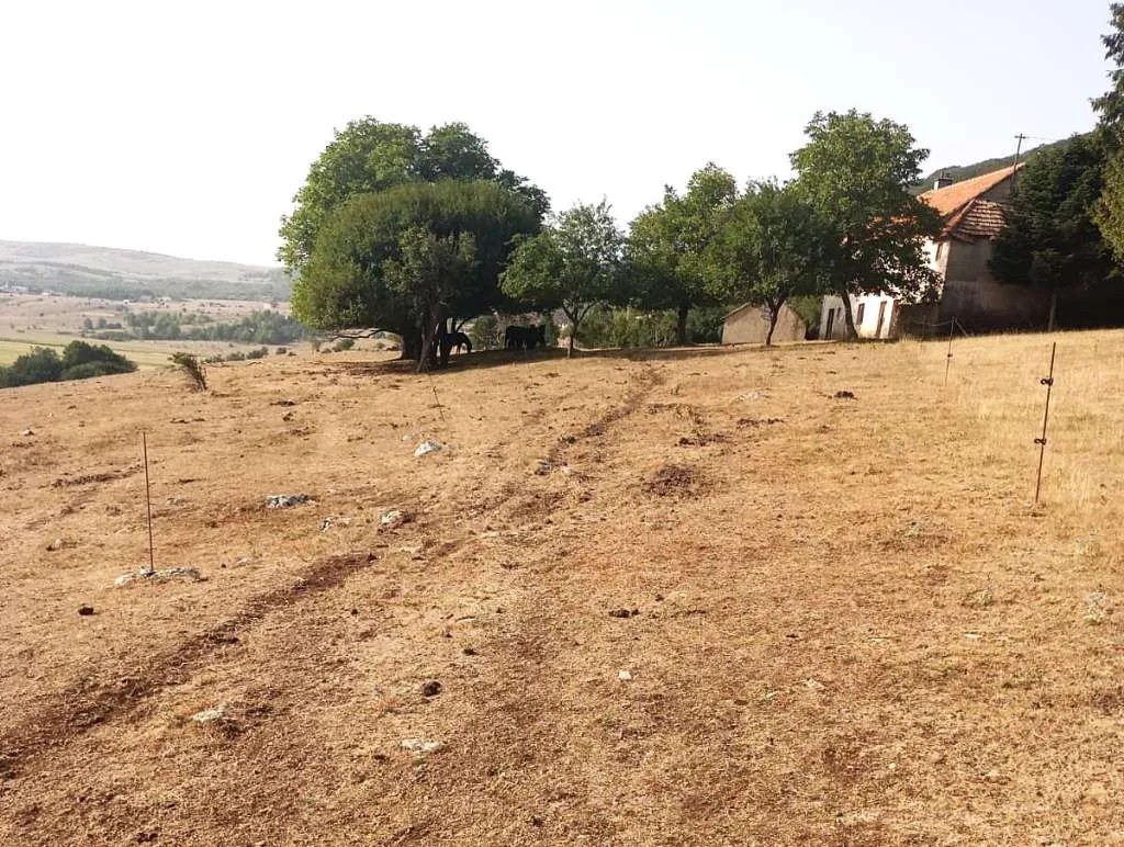 Udruženje poljoprivrednika FBiH traži proglašenje stanja elementarne nepogode zbog suše