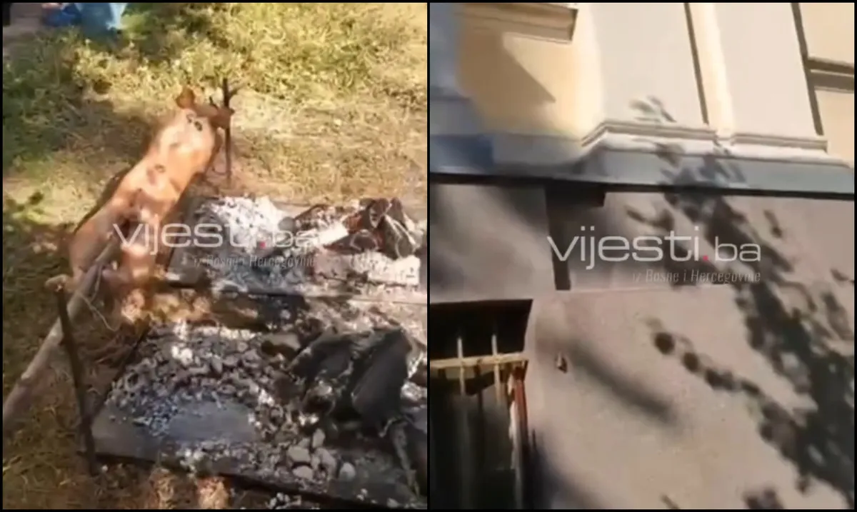 Pojavio se video praseta na ražnju kod Zemaljskog muzeja, muškarac na snimku podrugljivo poručio: "Ovo su sarajevski dani kulture"