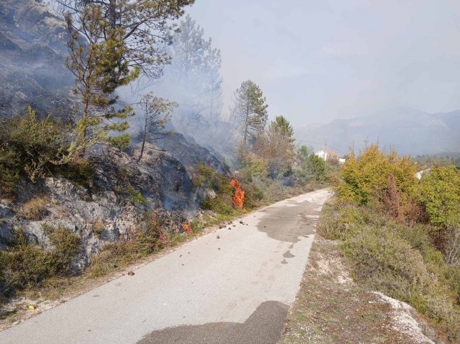 Požar u Grančarevu pod kontrolom